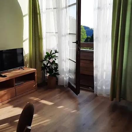 Perla 28 V Orlickych Horach شقة Říčky