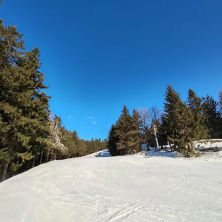Perla 28 V Orlickych Horach Říčky