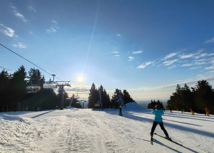 Perla 28, Apartman *